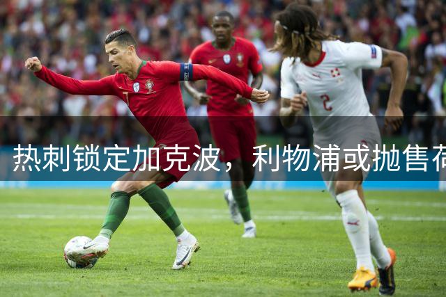热刺锁定加克波，利物浦或抛售荷兰边锋